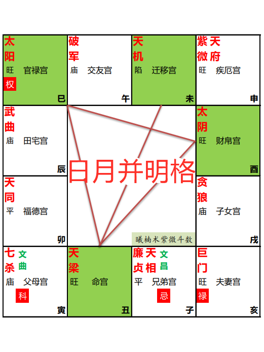 日月颜色区别 日月品种介绍及图片 