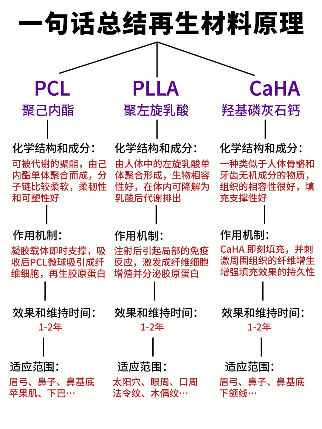 超再生与再生区别 超再生与再生区别是什么 