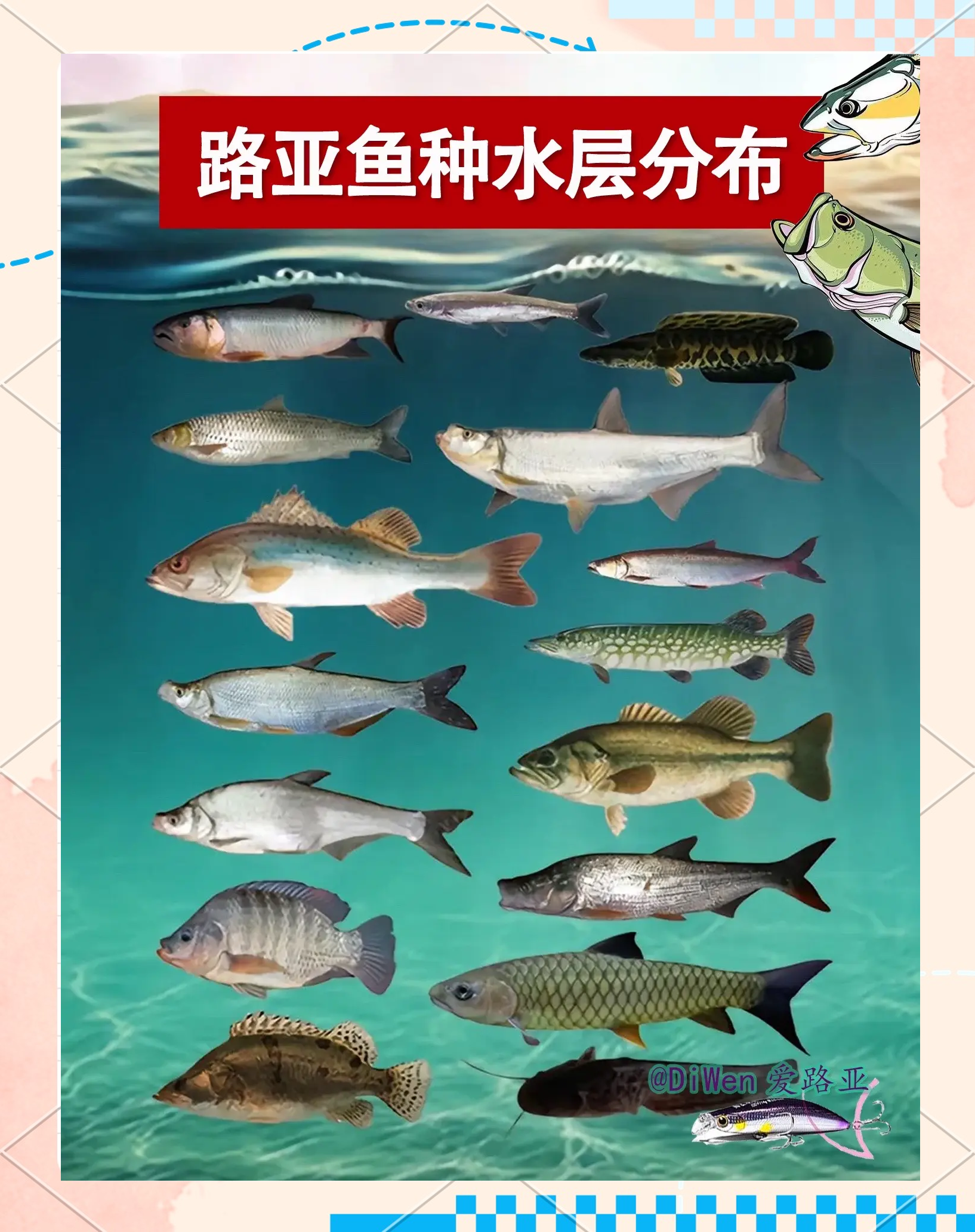 包含sunfish和bluegill区别的词条